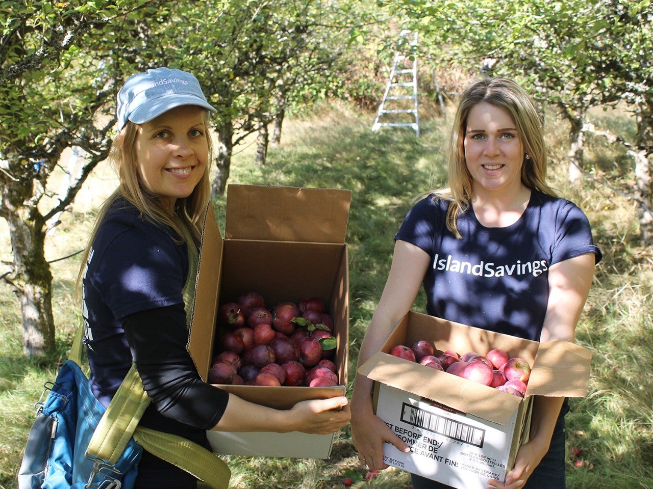 community impact